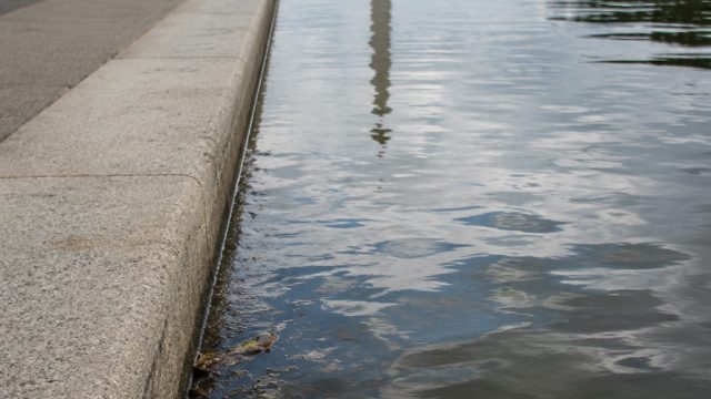 Scrutiny Grows Over Reflecting Pool Amid Vandalism and Wildlife Deaths