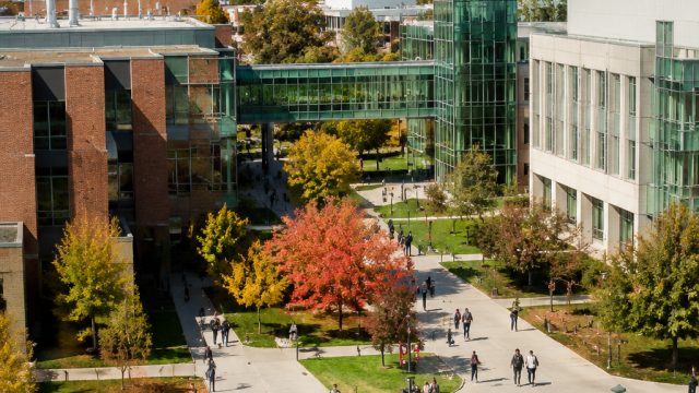 University of Utah Approves Groundbreaking AI Bachelor's Degree Program